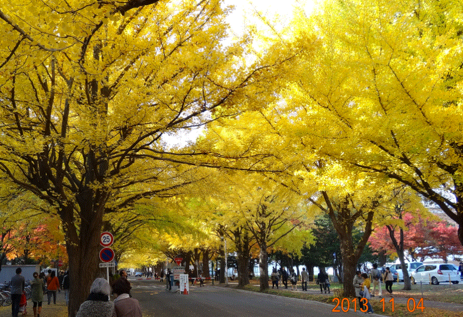 Photo_6